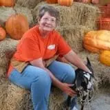 Curry Farms Pumpkin Patch & Corn Maze photo