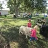 Curry Farms Pumpkin Patch & Corn Maze photo