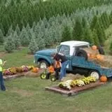 Curry Farms Pumpkin Patch & Corn Maze photo