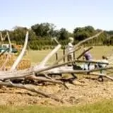 Curry Farms Pumpkin Patch & Corn Maze photo