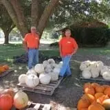Curry Farms Pumpkin Patch & Corn Maze photo