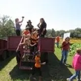 Curry Farms Pumpkin Patch & Corn Maze photo