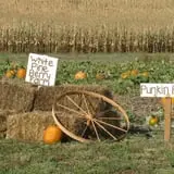 White Pine Berry Farm photo