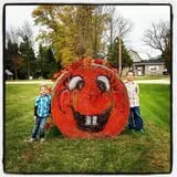 White Pine Berry Farm photo