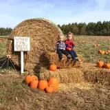 White Pine Berry Farm photo