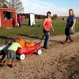 White Pine Berry Farm photo