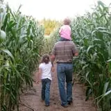 White Pine Berry Farm photo
