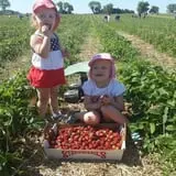 White Pine Berry Farm photo