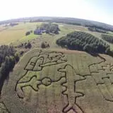White Pine Berry Farm photo
