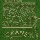 Crane Orchards Corn Maze photo