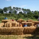 Curran's Orchard photo