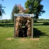 Curran's Orchard photo