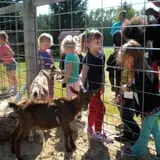 Curran's Orchard photo