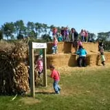 Curran's Orchard photo