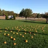 Argos Farm Fall Country Fun photo