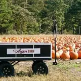 Argos Farm Fall Country Fun photo