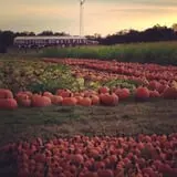 Argos Farm Fall Country Fun photo
