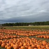 Argos Farm Fall Country Fun photo