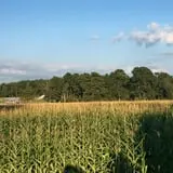 Argos Farm Fall Country Fun photo
