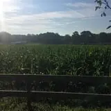 Argos Farm Fall Country Fun photo