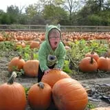 Argos Farm Fall Country Fun photo