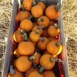 Argos Farm Fall Country Fun photo