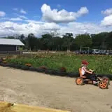 Argos Farm Fall Country Fun photo