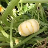 Argos Farm Fall Country Fun photo