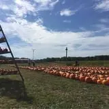 Argos Farm Fall Country Fun photo