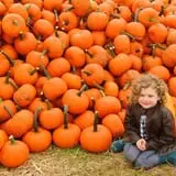 Argos Farm Fall Country Fun photo