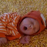 Argos Farm Fall Country Fun photo