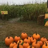 Argos Farm Fall Country Fun photo