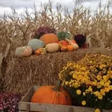 Argos Farm Fall Country Fun photo