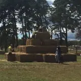 Argos Farm Fall Country Fun photo