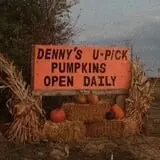 Denny's U-Pick Pumpkins photo