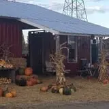 Denny's U-Pick Pumpkins photo