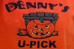 Denny's U-Pick Pumpkins
