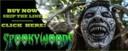 Spooky Woods