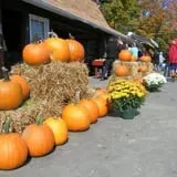 Dressel Farms photo