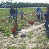 Dressel Farms photo