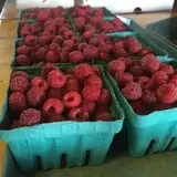 Dressel Farms photo
