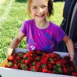 Dressel Farms photo