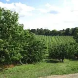 Dressel Farms photo