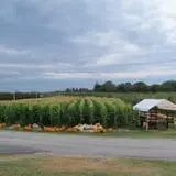 Dressel Farms photo