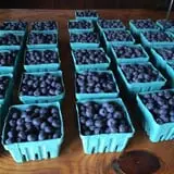 Dressel Farms photo