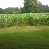 Dressel Farms photo