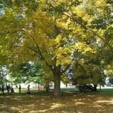 Dressel Farms photo