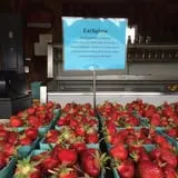 Dressel Farms photo