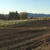 Dressel Farms photo