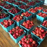 Dressel Farms photo